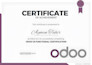 be your odoo expert, implement erp and design odoo website, develop odoo CRM